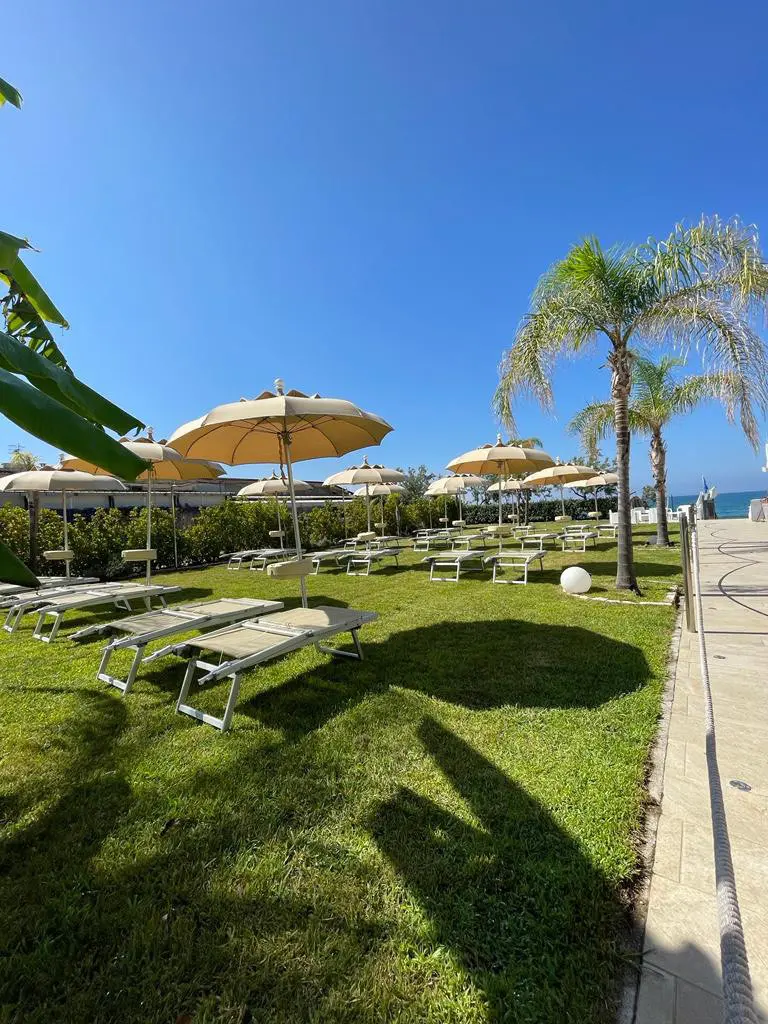 Solarium con prato, palme e lettini a pochi metri dal mare